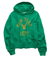 American Eagle Womens AE Campus Hoodie Sweatshirt