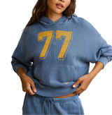 American Eagle Womens AE Campus Hoodie Sweatshirt