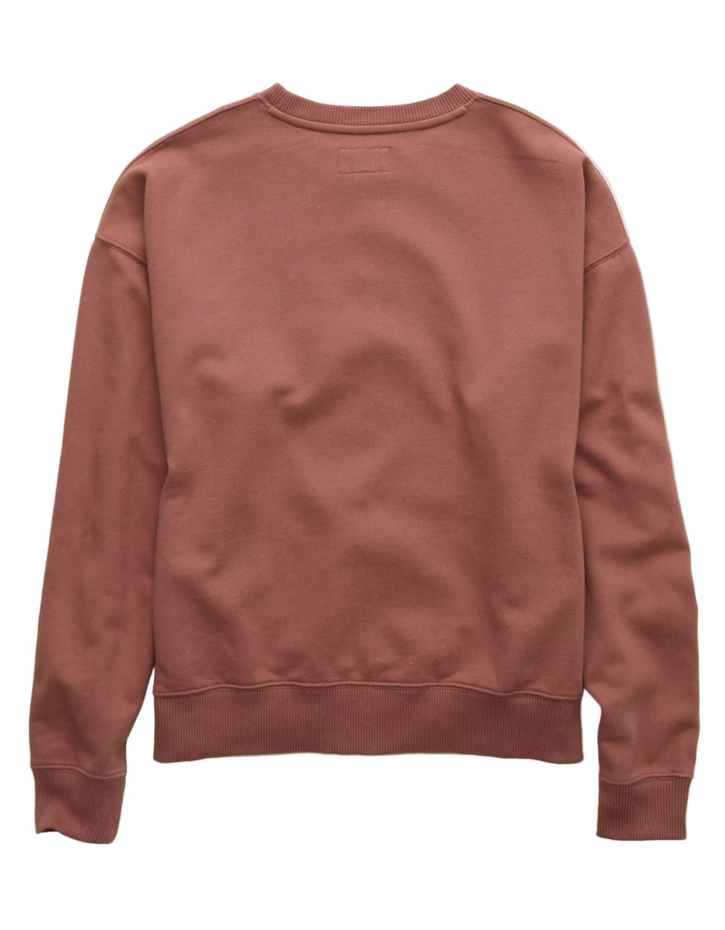 American Eagle Womens AE Velvet Graphic Crew Neck Sweatshirt