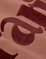 American Eagle Womens AE Velvet Graphic Crew Neck Sweatshirt