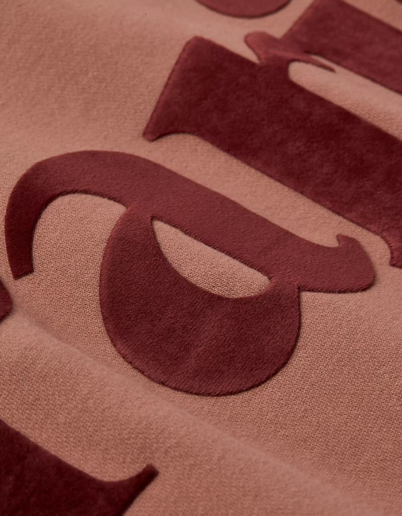 American Eagle Womens AE Velvet Graphic Crew Neck Sweatshirt