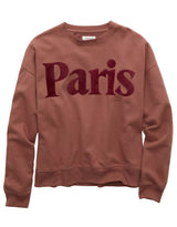 American Eagle Womens AE Velvet Graphic Crew Neck Sweatshirt