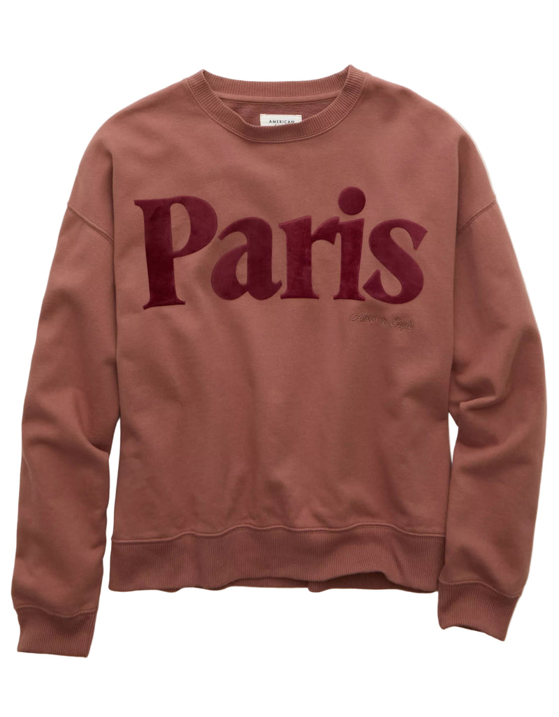 American Eagle Womens AE Velvet Graphic Crew Neck Sweatshirt