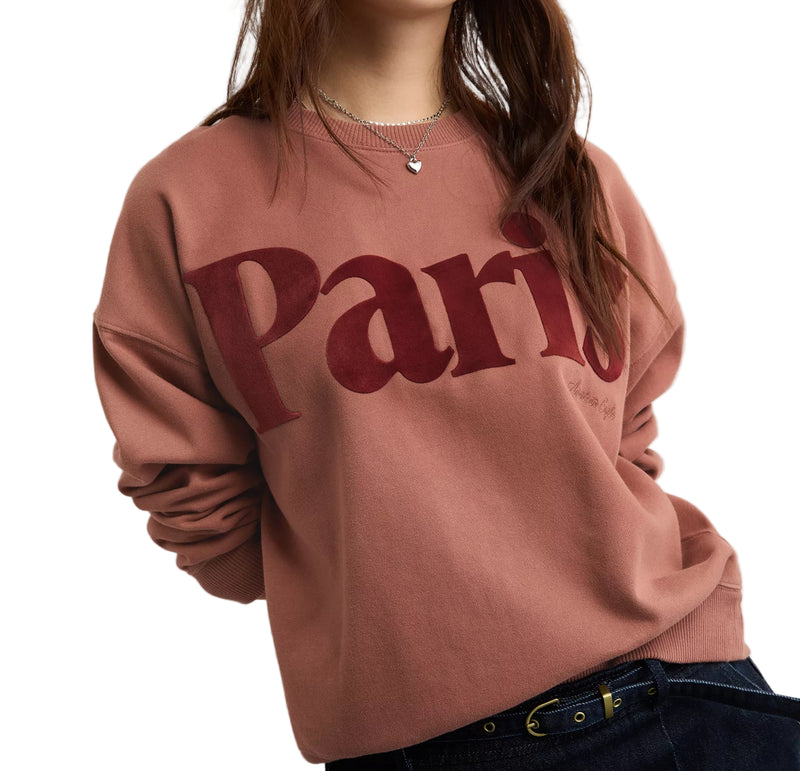 American Eagle Womens AE Velvet Graphic Crew Neck Sweatshirt