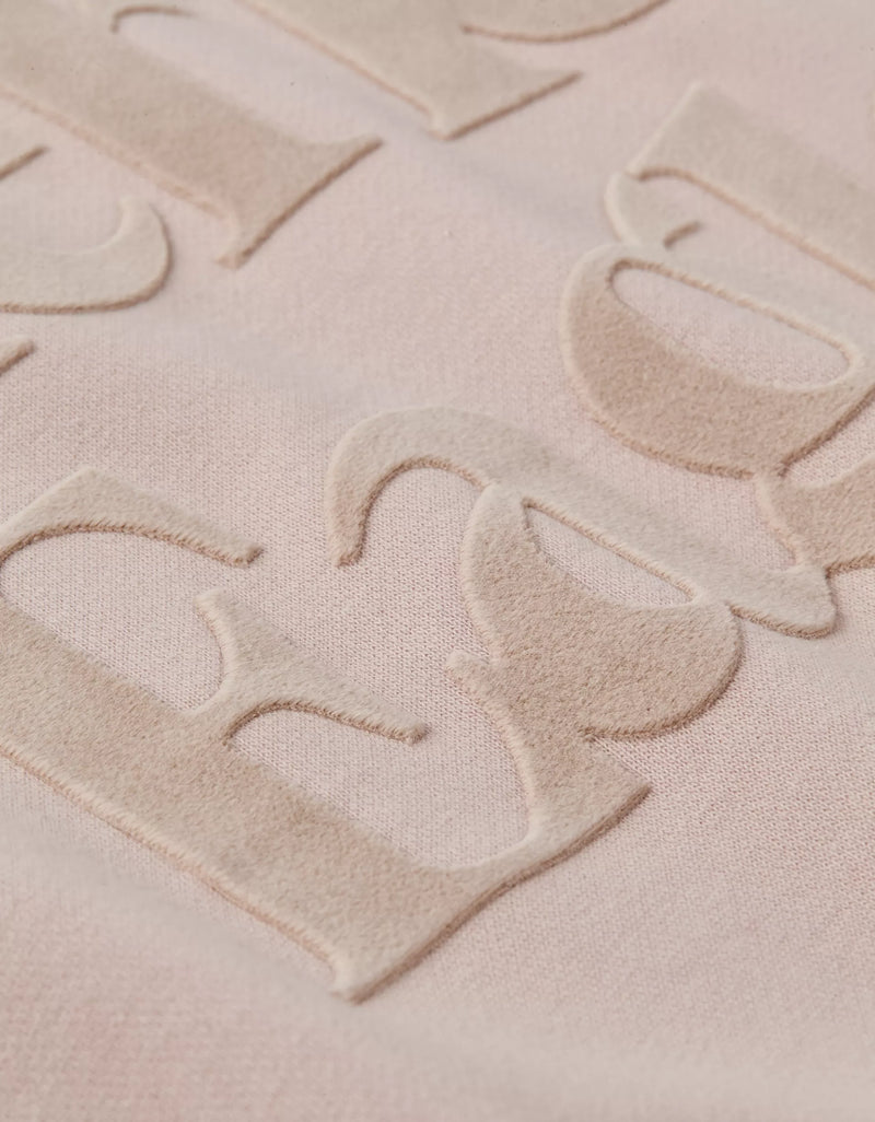 American Eagle Womens AE Velvet Graphic Crew Neck Sweatshirt