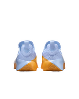 Nike Mens LeBron TR 1 Workout Shoes