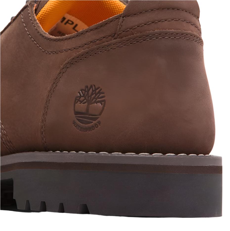 Timberland Mens Redwood Falls Lace-Up Waterproof Shoe