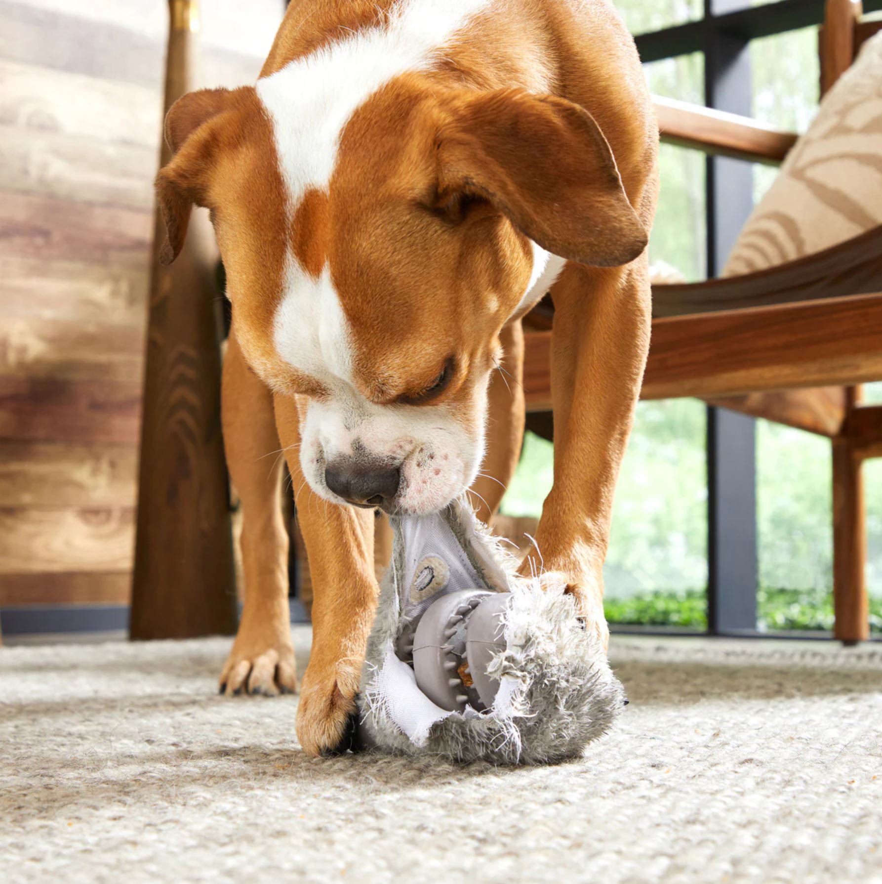 Bark Rabbit BARK Hare Raiser Rabbit Rubber Super Chewer Dog Toy - Medium/Large ...