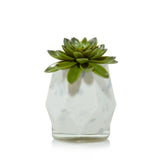 Yankee Candle Faceted Succulent ScentPlug Diffuser