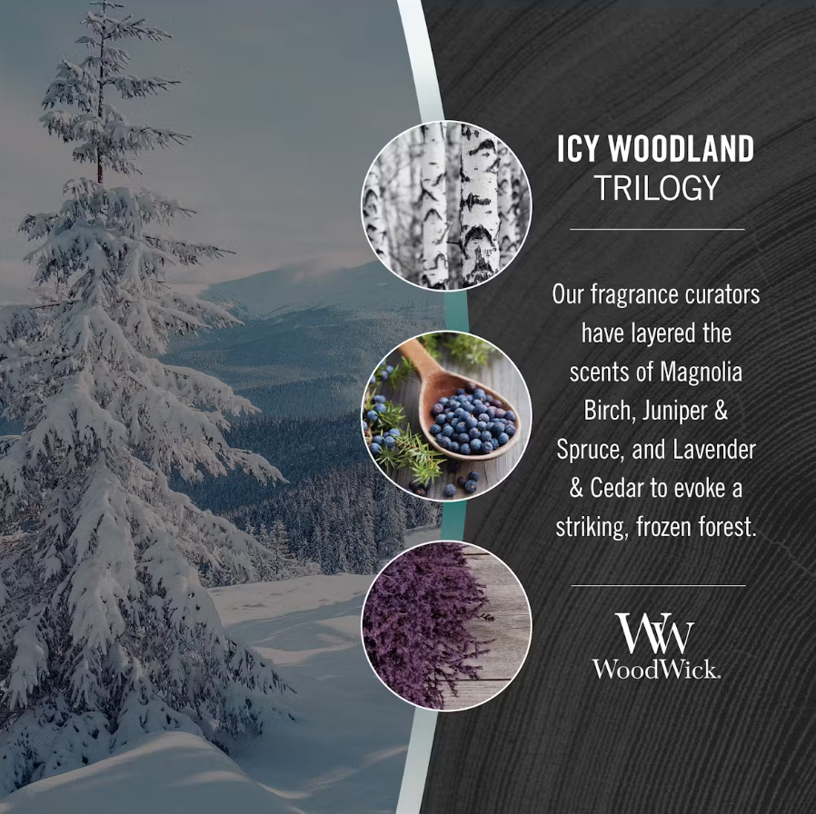 WoodWick Medium Hourglass Candle - Icy Woodland Trilogy