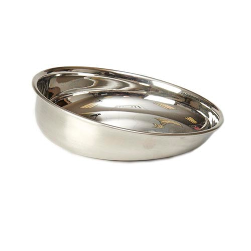 PetRageous Bermuda Shallow Slanted Stainless-Steel Food Bowl