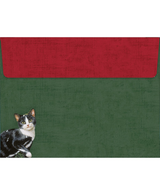 Lang Kitten Christmas Boxed Cards