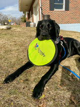 Spunky Pup Spunky Soft Disc Flying Fetch Dog Toy