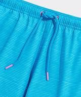 Vineyard Vines Mens Printed Chappy Swim Trunks