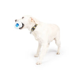 Huxley & Kent Squeak 'N Peek Frosty Snowman Dog Toy