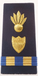 Vanguard CG Enhanced Shoulder Board Male WO-2 Weapons