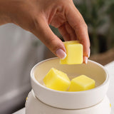 Candle Warmers Etc. Daisy Wax Warmer