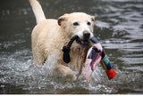 Spunky Pup Fly & Fetch Launching Duck Dog Toy