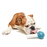 BARK Blue Lollipop Nylon Chew Toy