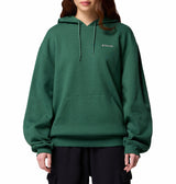 Columbia Womens Aldermore Hoodie Sweatshirt