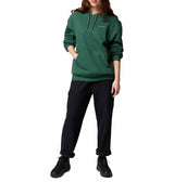 Columbia Womens Aldermore Hoodie Sweatshirt