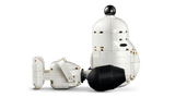 LEGO Peanuts: Snoopy's Doghouse