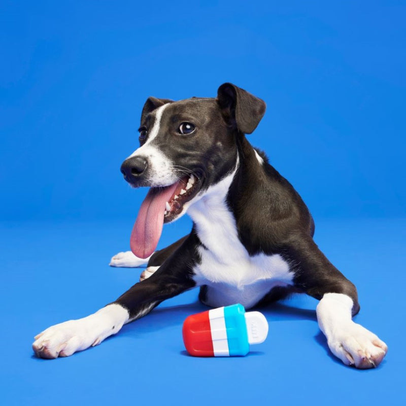 BARK Red White & Chew Pupsicle Super Chewer Nylon Toy