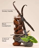 Bath & Body Works Wallflowers Refills - Noir - 2-Pack