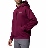 Columbia Mens Catalyst Bear Hoodie Sweatshirt