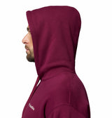 Columbia Mens Catalyst Bear Hoodie Sweatshirt