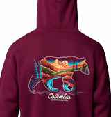 Columbia Mens Catalyst Bear Hoodie Sweatshirt