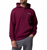 Columbia Mens Catalyst Bear Hoodie Sweatshirt