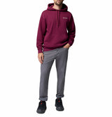 Columbia Mens Catalyst Bear Hoodie Sweatshirt
