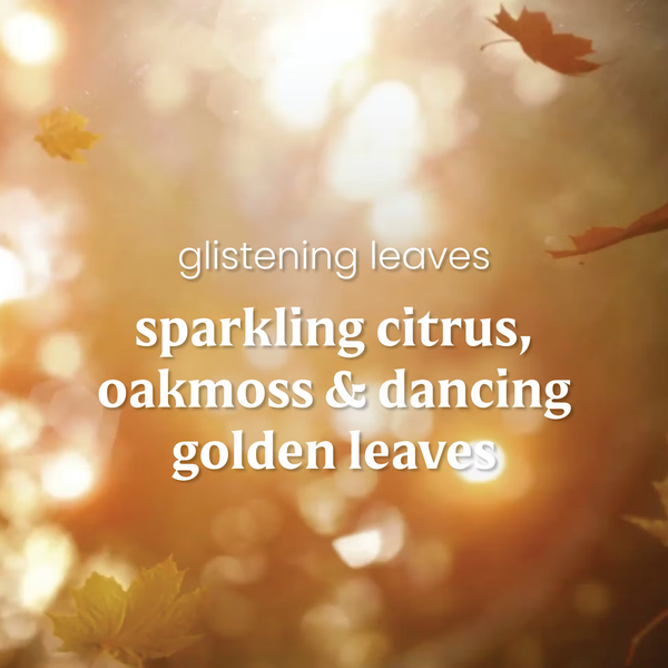 Yankee Candle ScentPlug Refill - Glistening Leaves