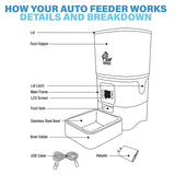 Paw Perfect Automatic Pet Feeder