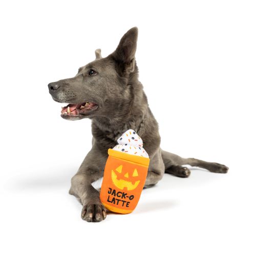 Huxley & Kent Jack-O-Latte Plush Dog Toy