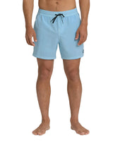 Billabong Mens Every Other Day Wave Washed Layback Trunks
