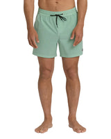 Billabong Mens Every Other Day Wave Washed Layback Trunks