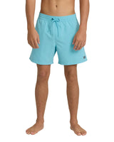 Billabong Mens All Day Layback Swim Trunks