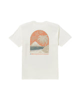 Billabong Mens Coastal Range A/Div Short Sleeve T-Shirt