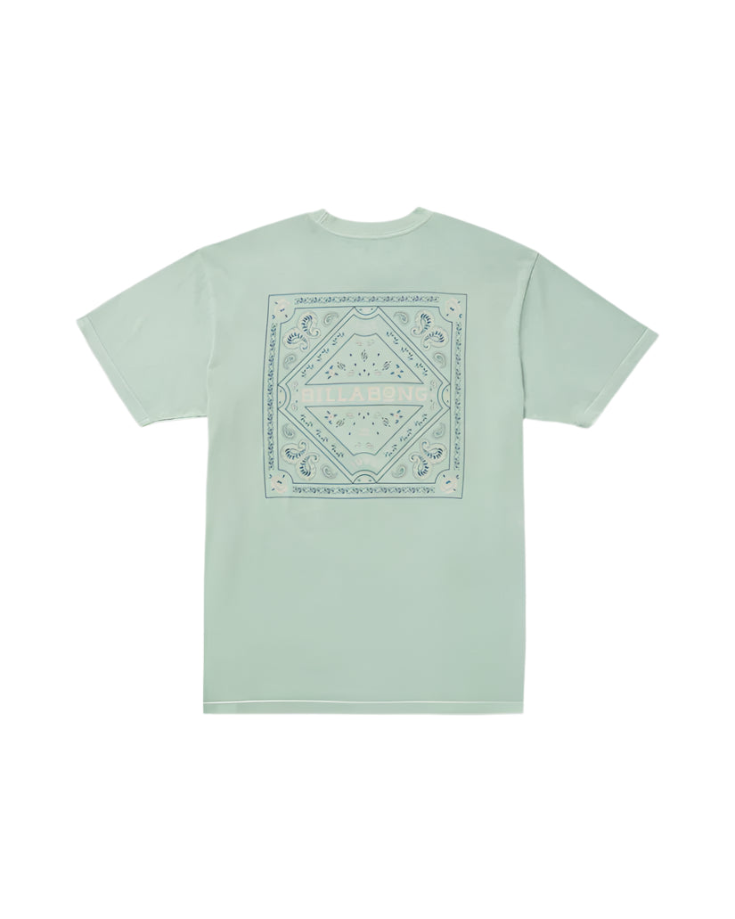 Billabong Mens Paise Haze Premium Wave Wash Short Sleeve T-Shirt