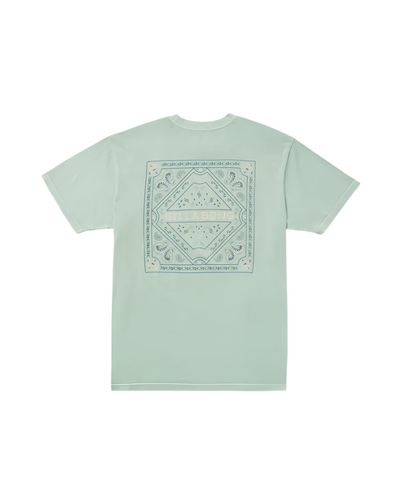 Billabong Mens Paise Haze Premium Wave Wash Short Sleeve T-Shirt
