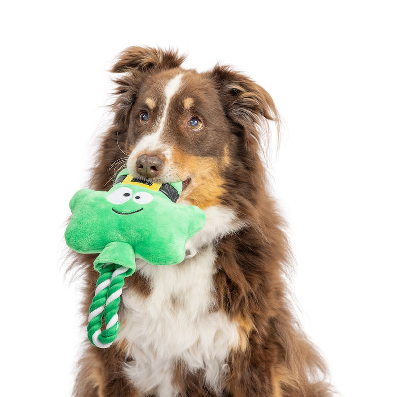 Huxley & Kent Shamrock Lollipop Plush Dog Toy