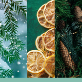 Yankee Candle Signature Small Tumbler Candle - Holiday Winterfest Candle