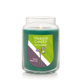 Yankee Candle Original Large Jar Candle - On The Green