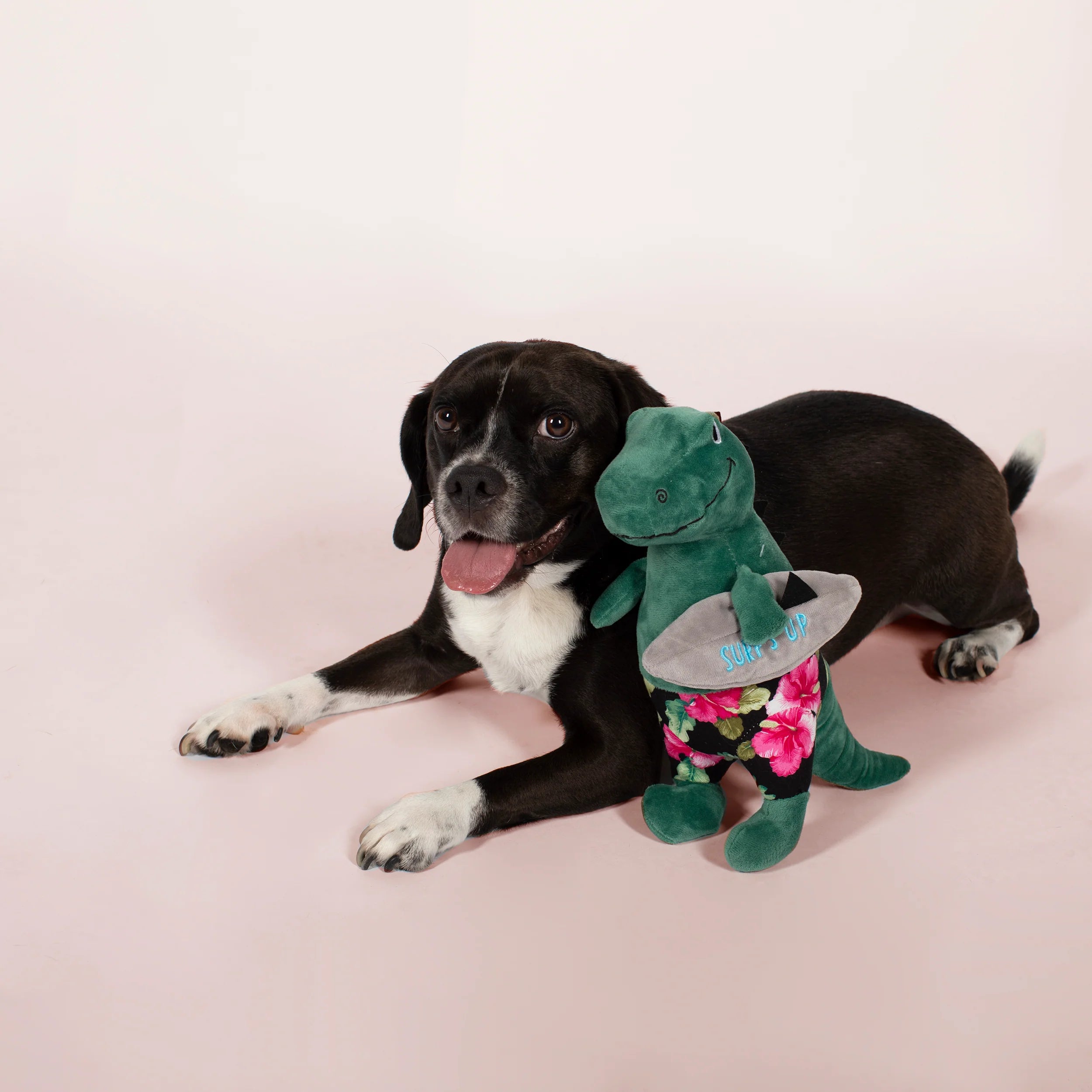 Petshop Surf's Up, Dude! Plush Dog Toy