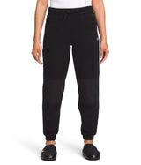 The North Face Womens Alpine Plartec 200 Pants