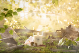 WoodWick Medium Hourglass Candle - Solar Haze