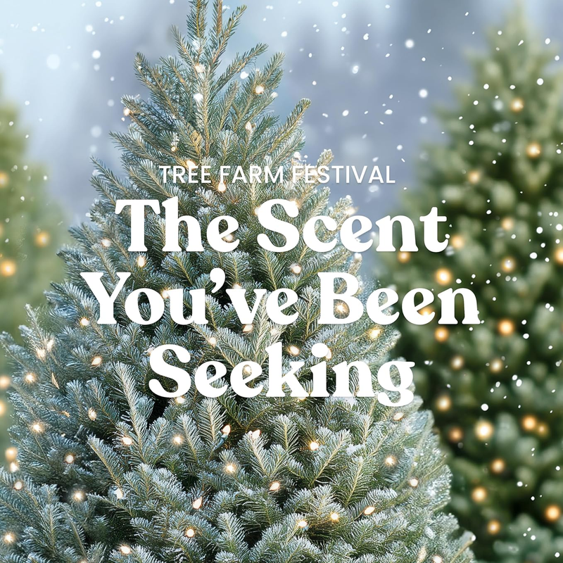 Yankee Candle Original Large Jar Candle - Tree Farm Festival