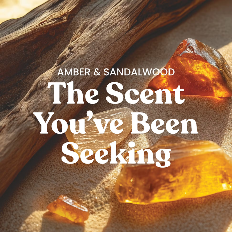 Yankee Candle Original Large Jar Candle - Amber & Sandalwood